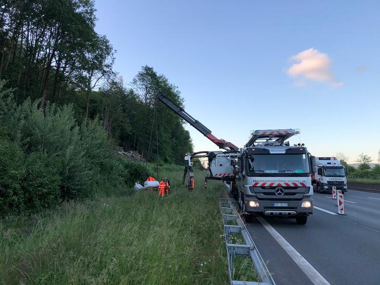 Lkw mit Kran und Arbeitskräften bei Baumfällarbeiten am Straßenrand in bewaldeter Umgebung.