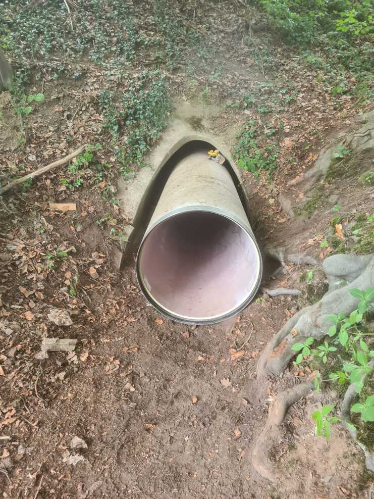 Gefundenes Ende eines großen Rohres im Wald, umgeben von Erde, Laub und Wurzeln.