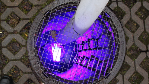 Gitterdeckel über einem leuchtend lila beleuchteten Schacht, mit einem Laubblatt auf der Oberfläche.