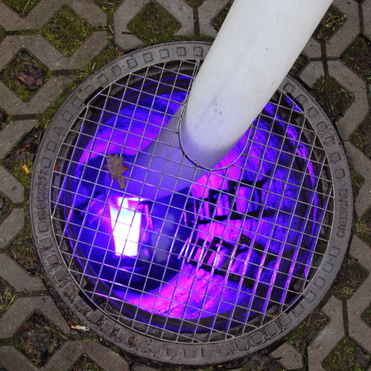 Blick auf einen offenen Gully mit lila Beleuchtung und einem Blatt auf dem Gitter, umgeben von einem Pflastersteinboden.