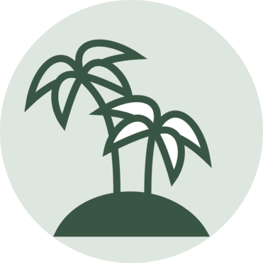 Zwei stilisierte Palmen auf einem H&uuml;gel in einem runden, hellgr&uuml;nen Hintergrund.